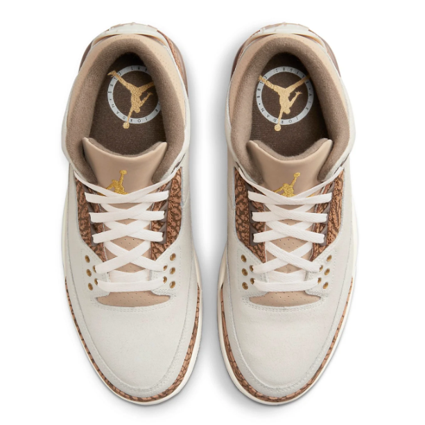 Air Jordan 3 Retro 'Palomino' Sneaker (CT8532-102)